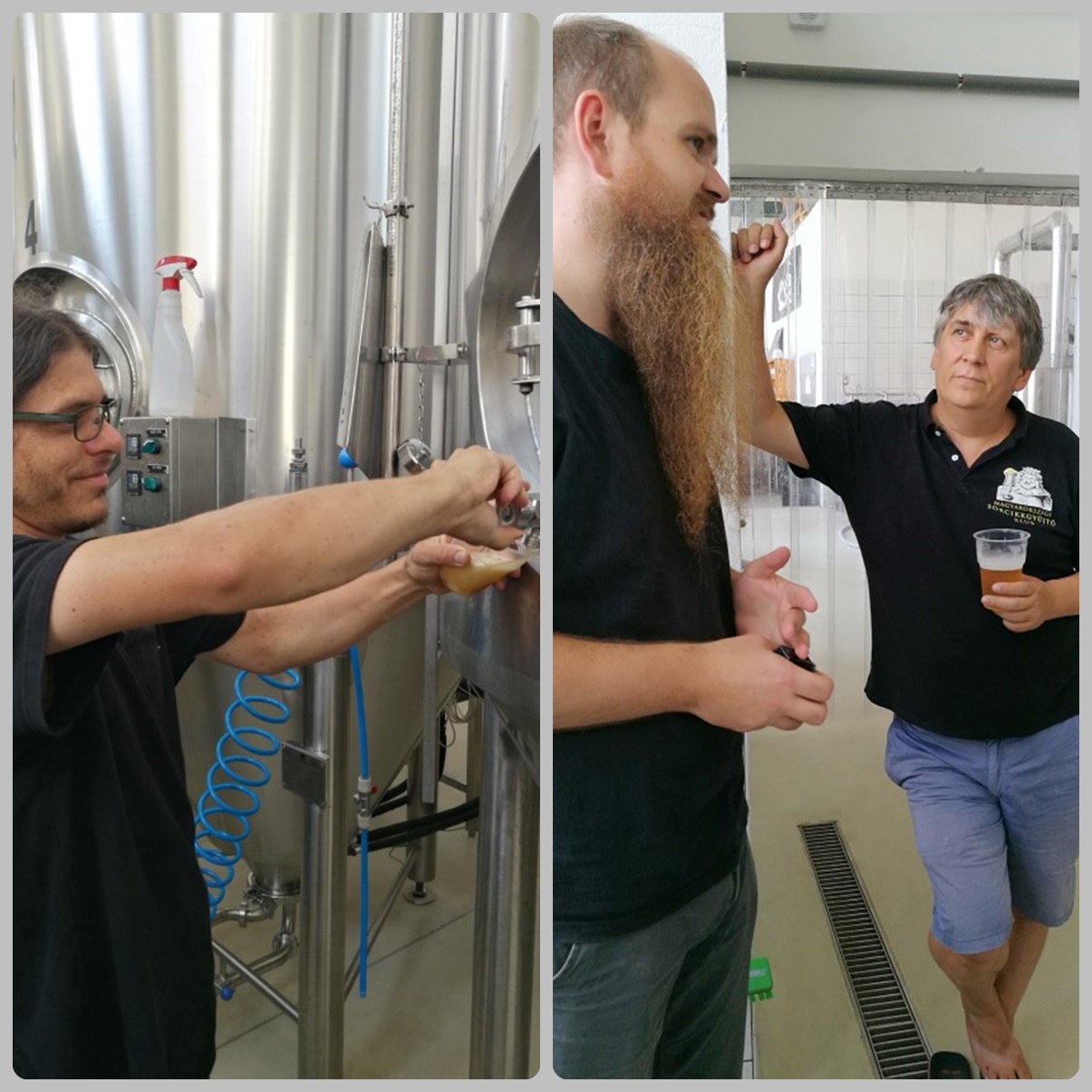 Közös kocsmalátogatások a Magyarországi Sörcikkgyűjtő Klubbal - Fehér Nyúl Brewery - főzdelátogatás és sörkóstolás tartályról - Kocsmaturista