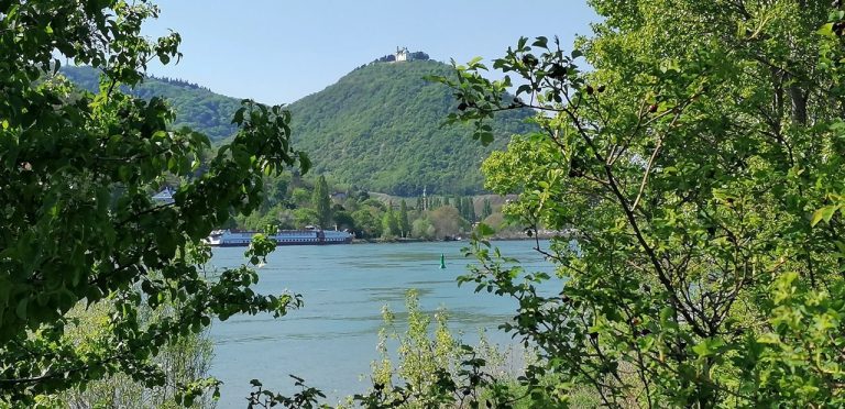A Duna-szigetről nézve